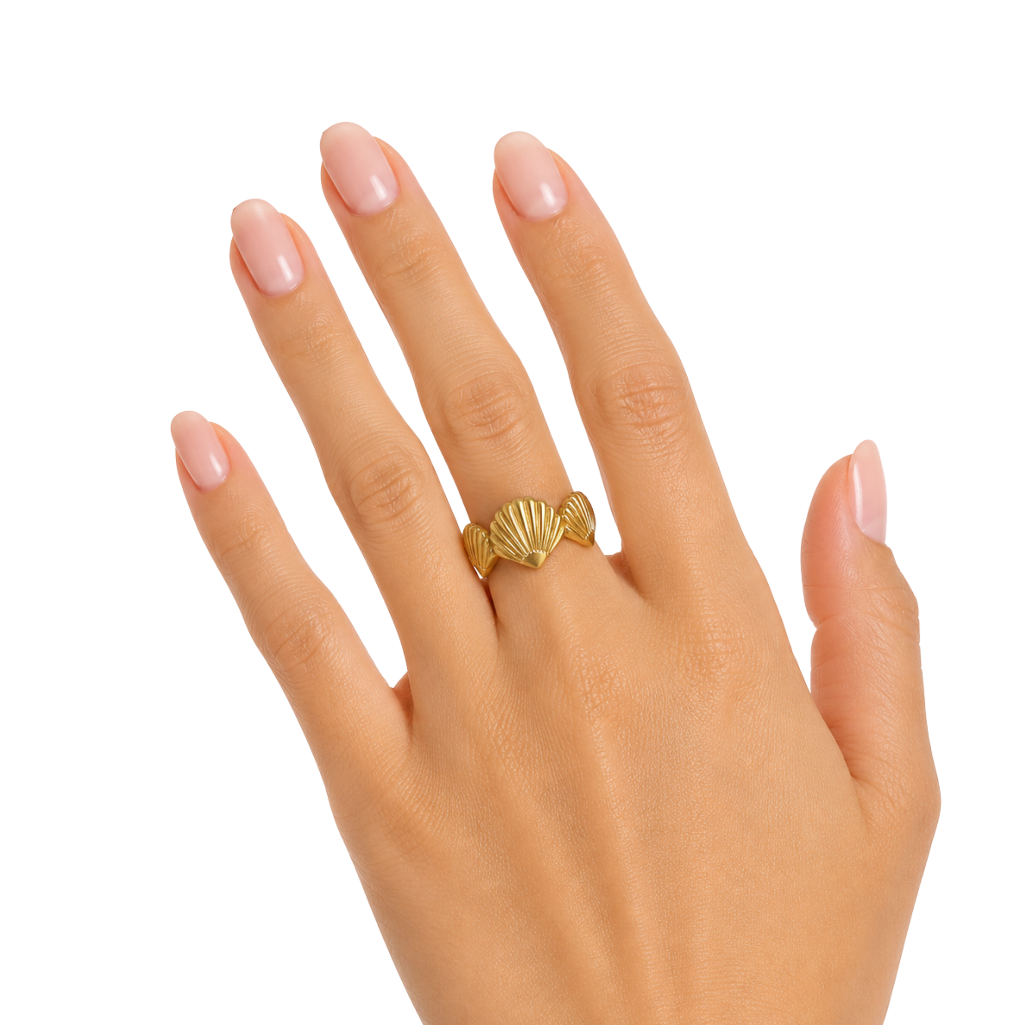 Adjustable Stainless Steel Three Shells Ring
